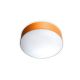 Plafonnier LED large GEA LZF, hêtre orange