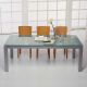Table rectangulaire ABACO Enrico Pellizzoni, châssis gris perle, plateau verre satiné