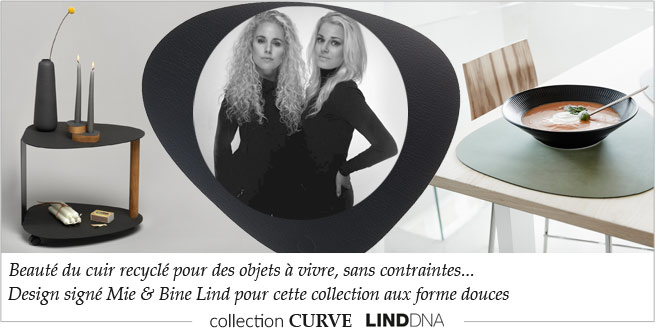 Collection de meubles et objets en cuir recyclé Curve LindDNA
