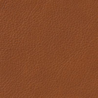 Cuir fauve Elmotique VI 43807