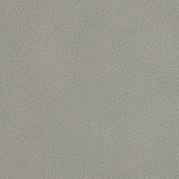 Cuir gris Elmotique VI 11023