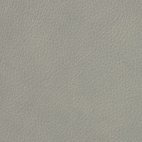 Cuir gris Elmotique VI 11023