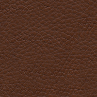 Cuir brun Sydney 3405