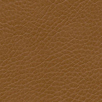 Parotega NF-cashmere