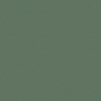 Vert olive 27
