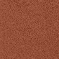 Erable rouge mat 26