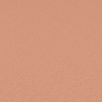 Orange givrée 144