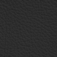 Cuir PPF-Black ink