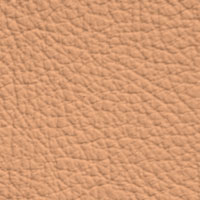 Cuir PPF-Coriander