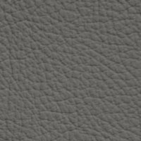 Cuir PPF-Iron