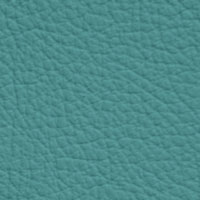 Cuir PPF-Polinesia