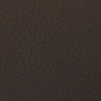 Cuir PPF-Braun