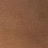 Cuir PPFV-10 Taupe