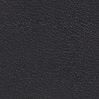 Cuir noir Elmotique 3028