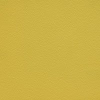 Jaune curry 62