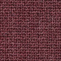 Prune-Nordic 481