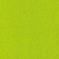 Vert citron-Felt 579