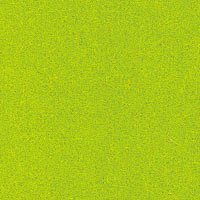 Vert citron-Felt 579
