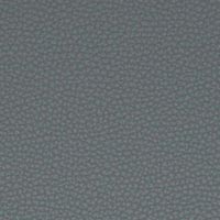 Simili-cuir gris chaud Platinum 22