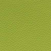 Cuir vert anis Panama 5390