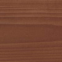 Hêtre chocolat 31