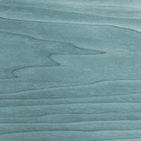 Hêtre turquoise 30