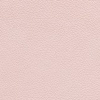 Nupo rose